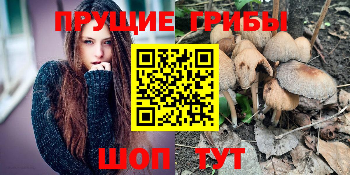 Галлюциногенные грибы мухоморы Боровичи